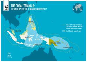 The Coral Triangle Area consistently draws the attention of marine scientists worldwide.