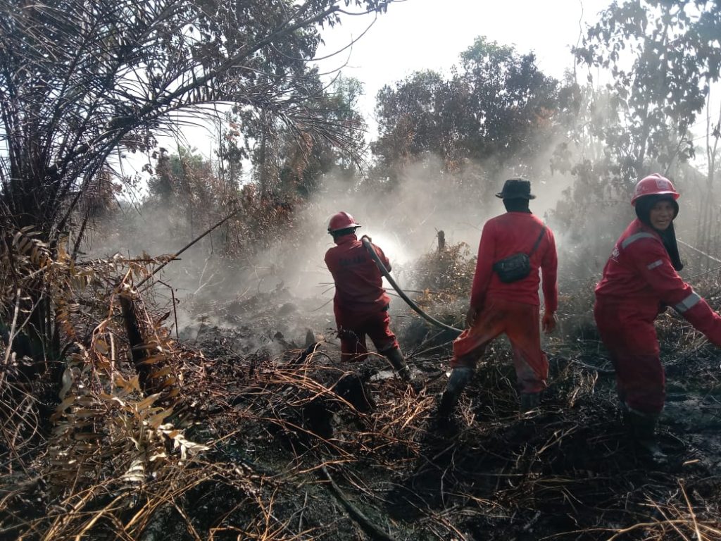 Dengan kekayaan hutan, laut, dan sektor pertanian, Indonesia menjadi salah satu negara dengan potensi besar dalam bisnis perdagangan karbon berbasis alam.