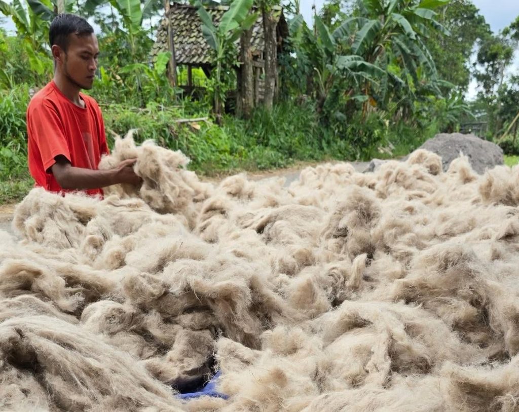 Indonesia memiliki beragam potensi bahan baku tekstil, mulai dari serat rami, nanas, kapok, hingga kapas lokal